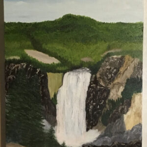 Falls of the Yellowstone